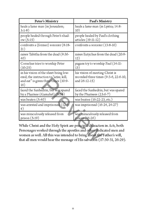 Acts Personal Workbook, Volume 1 (Chapters 1–12) by Chad Sychtysz