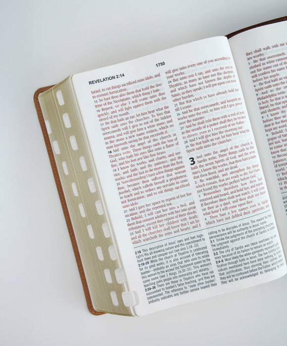 The KJV Study Bible - Large Print/Indexed Two-tone Brown Alpha/Omega