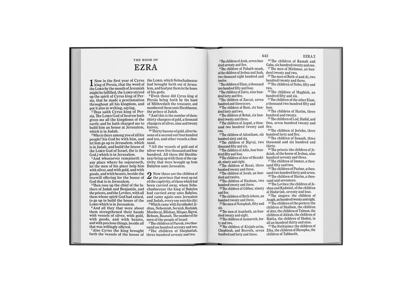 KJV Bible - Large Print Edition - Sand