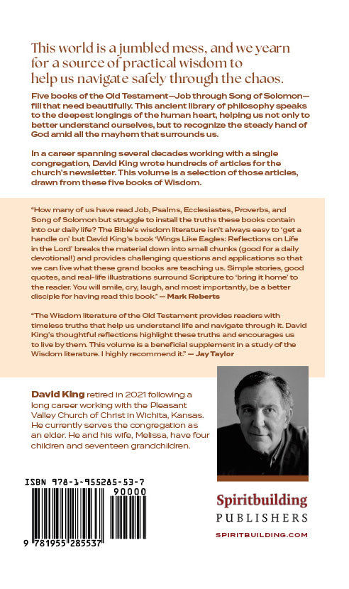Wings Like Eagles: Reflections on Life in the Lord - Volume 2: Job-Song of Solomon by David King