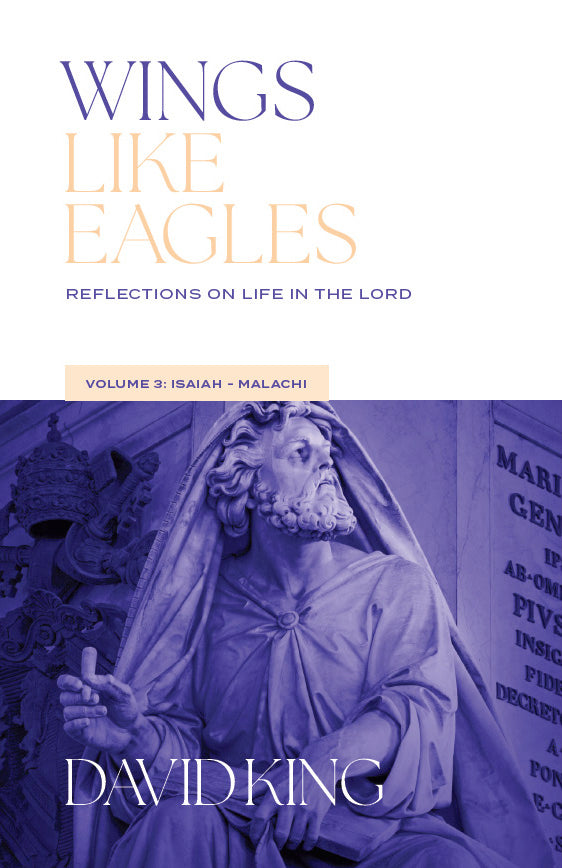 Wings Like Eagles: Reflections on Life in the Lord - Volume 3: Isaiah - Malachi by David King