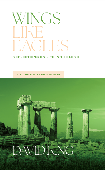 Wings Like Eagles: Reflections on Life in the Lord Volume 5: Acts-Galatians by David King