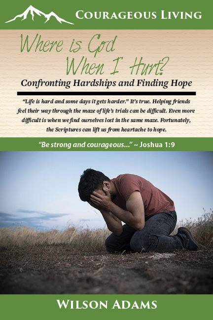 Where is God When I Hurt? Confronting Hardships and Finding Hope (Slightly Damaged or Worn)