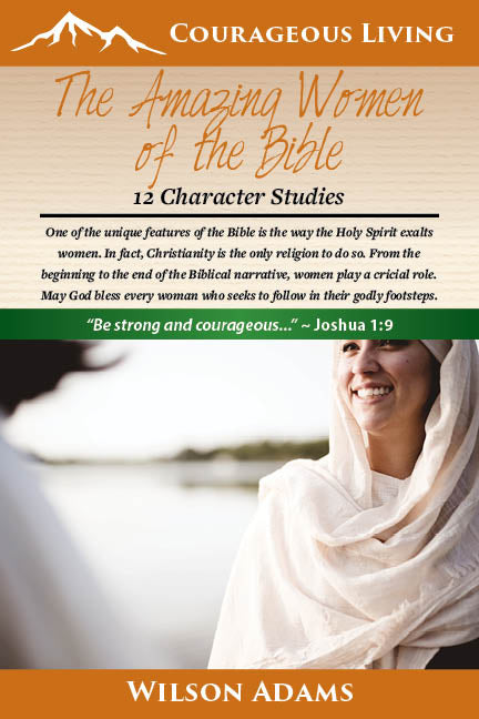 The Amazing Women of the Bible: 12 Character Studies SLIGHTLY WORN OR DAMAGED