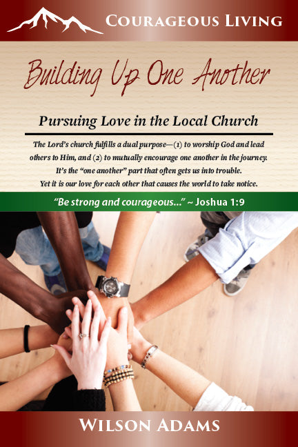Building Up One Another: Pursuing Love in the Local Church