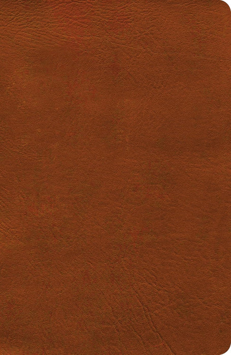 NASB 2020 Edition Verse-by-Verse Reference Bible - Burnt Sienna