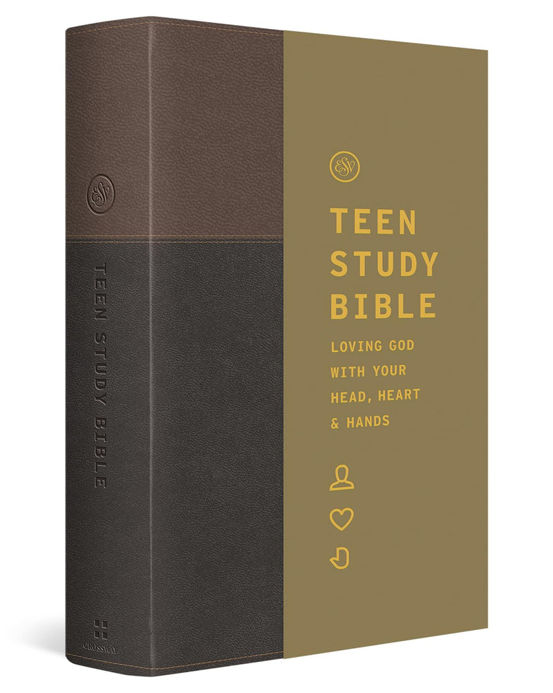 ESV Teen Study Bible (TruTone, Slate/Umber)