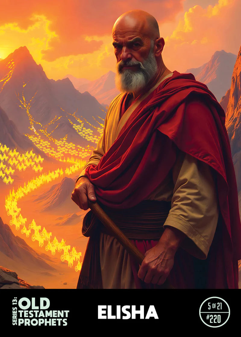 Discovery Bible Cards by AP
