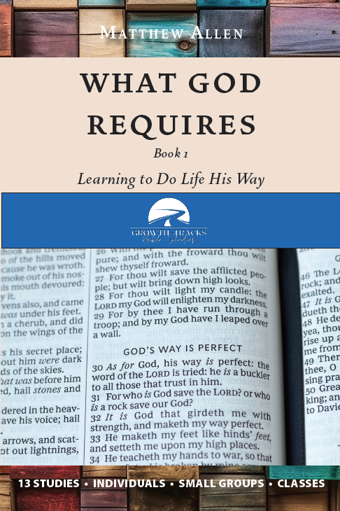 What God Requires: Book 1 by Matthew Allen