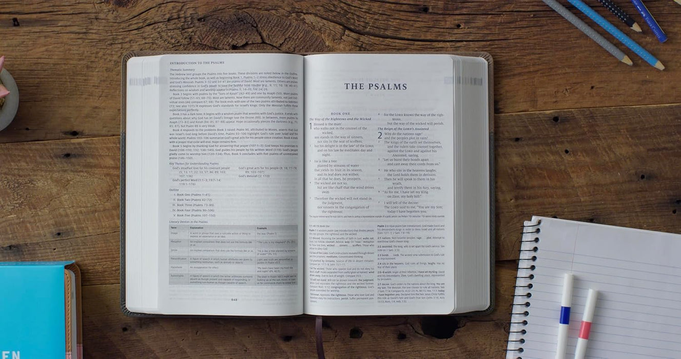 ESV Teen Study Bible (TruTone, Slate/Umber)