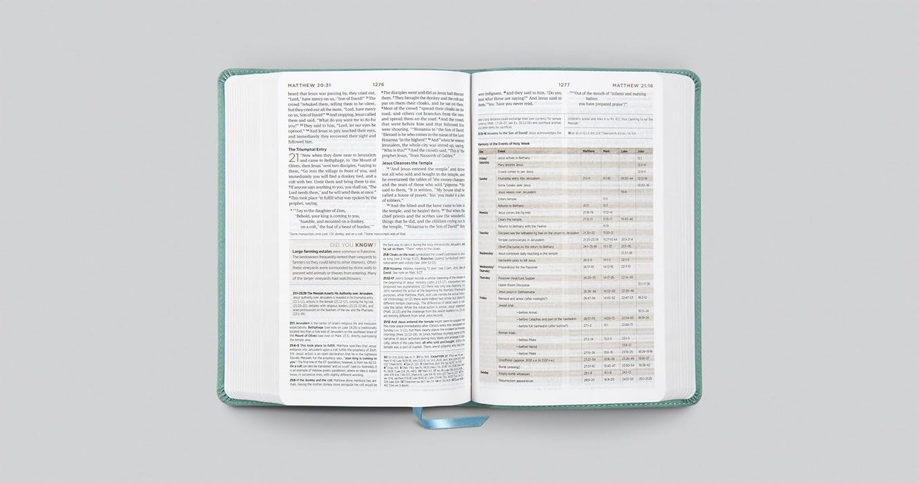ESV Student Study Bible (TruTone, Paris Sky, Fleur-de-lis Design)