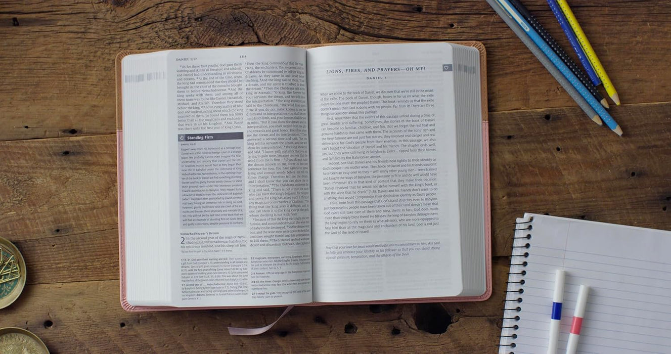ESV Teen Study Bible (TruTone, Blush/Caramel)