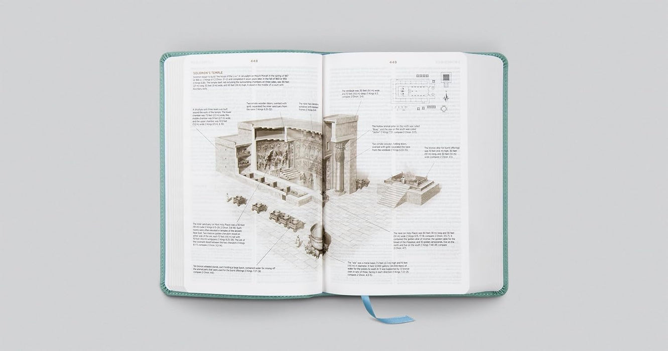 ESV Student Study Bible (TruTone, Paris Sky, Fleur-de-lis Design)