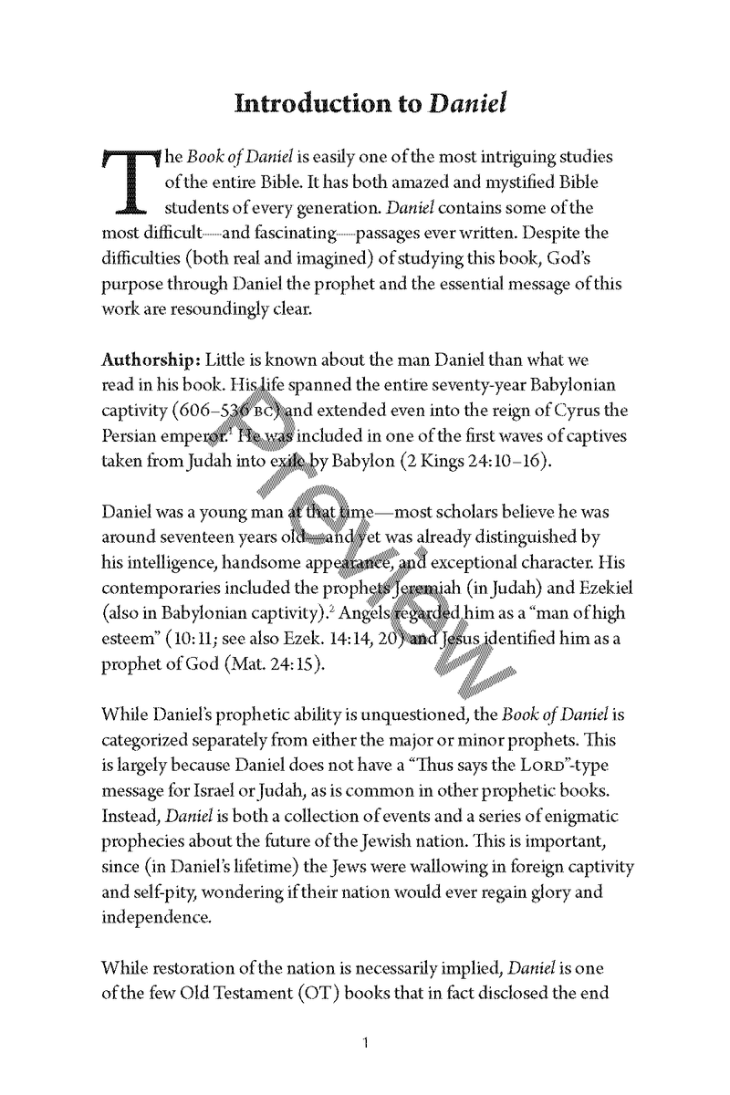 A Study of Daniel Workbook by Chad Sychtysz