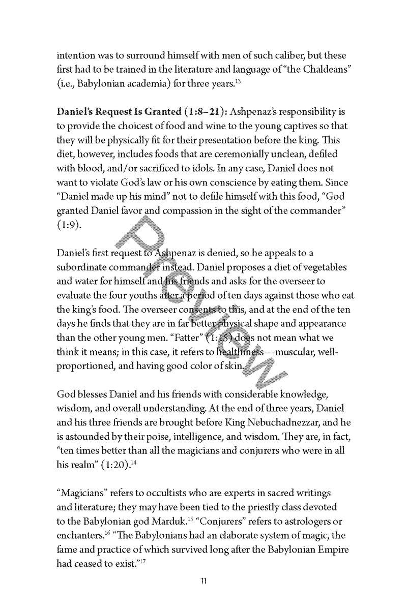 A Study of Daniel Workbook by Chad Sychtysz