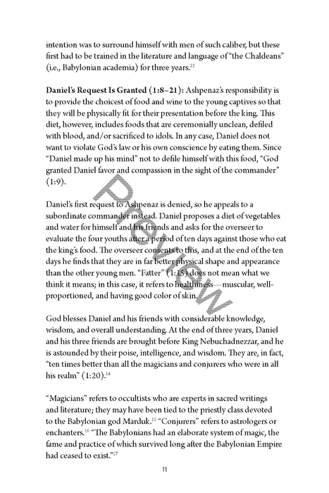 A Study of Daniel Workbook by Chad Sychtysz
