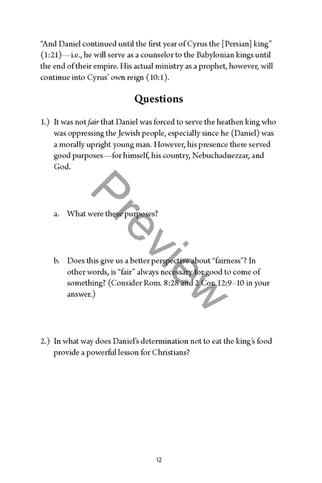 A Study of Daniel Workbook by Chad Sychtysz