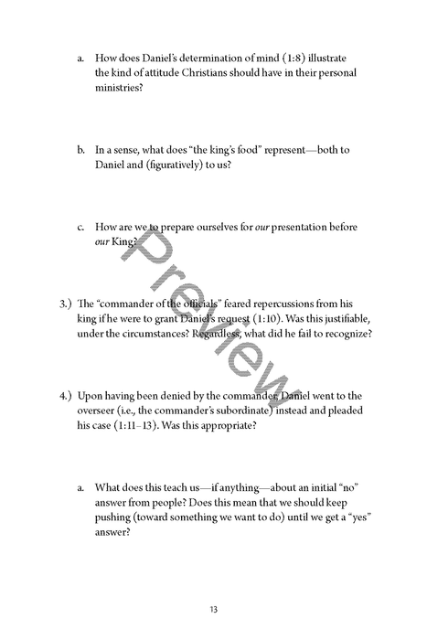 A Study of Daniel Workbook by Chad Sychtysz
