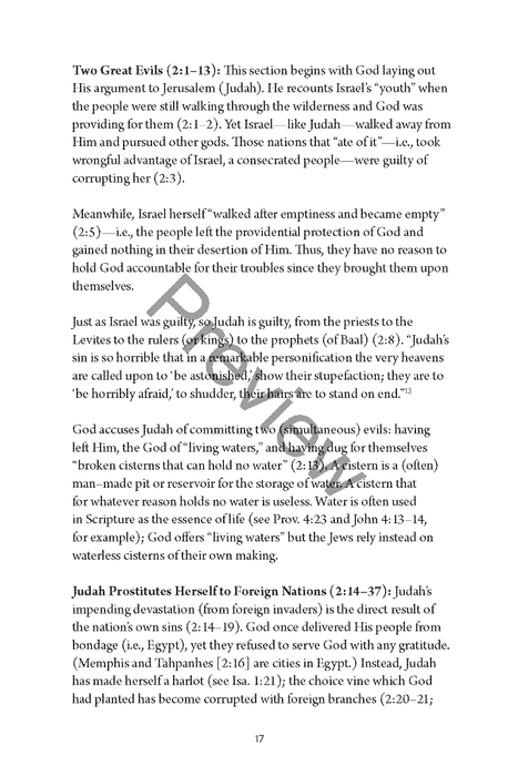 A Study of Jeremiah and Lamentations by Chad Sychtysz