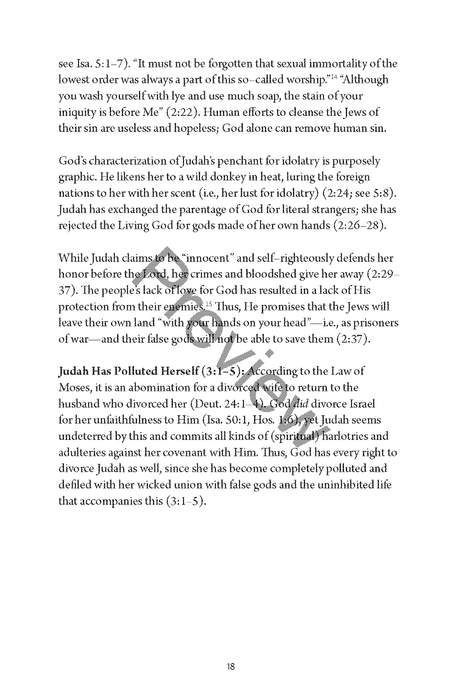 A Study of Jeremiah and Lamentations by Chad Sychtysz