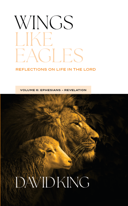 Wings Like Eagles: Reflections on Life in the Lord Volume 6: Ephesians-Revelation by David King