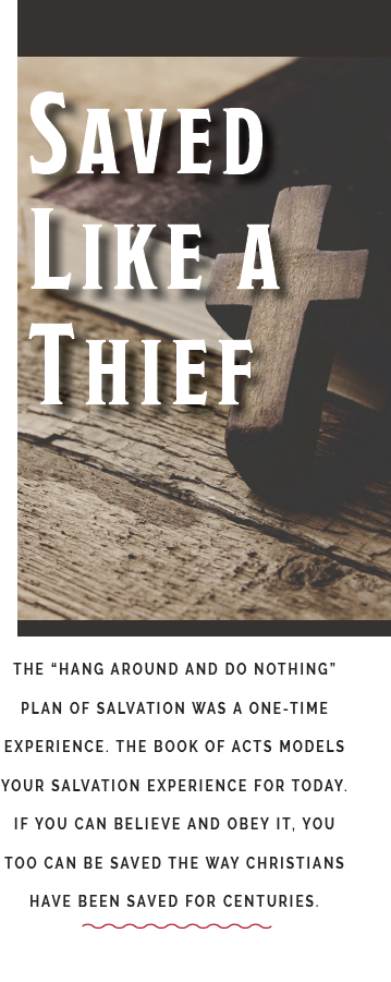 Saved Like a Thief