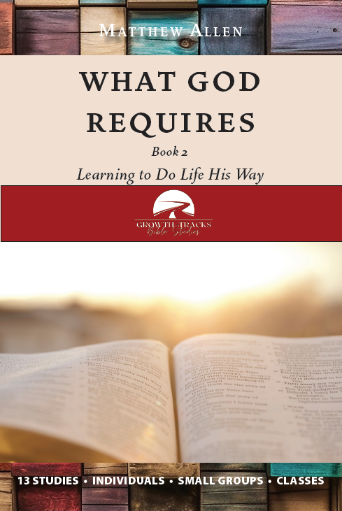 What God Requires: Book 2 by Matthew Allen
