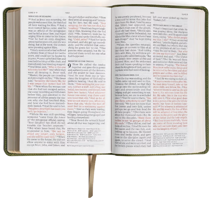NASB Large Print Personal Size Reference Bible, Olive LeatherTouch