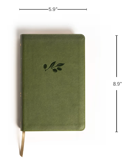 NASB Large Print Personal Size Reference Bible, Olive LeatherTouch