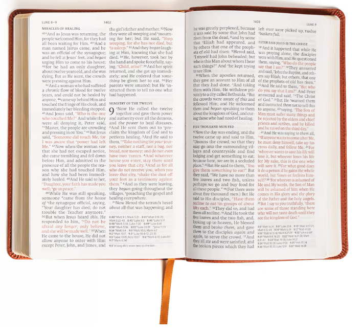 NASB Large Print Personal Size Reference Bible, Burnt Sienna LeatherTouch