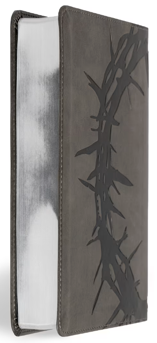 NASB Large Print Personal Size Reference Bible, Charcoal LeatherTouch