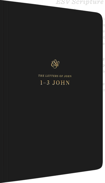 ESV 1-3 John Spiral Bound Scripture Journal