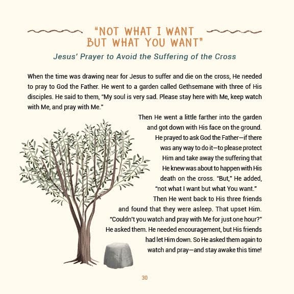 A Year of Bible Stories and Prayers