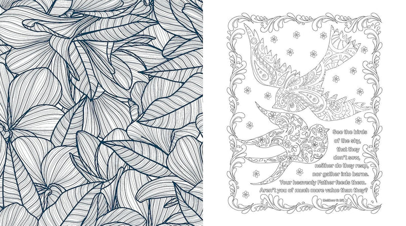 Bible Inspiration for Women Coloring Book
