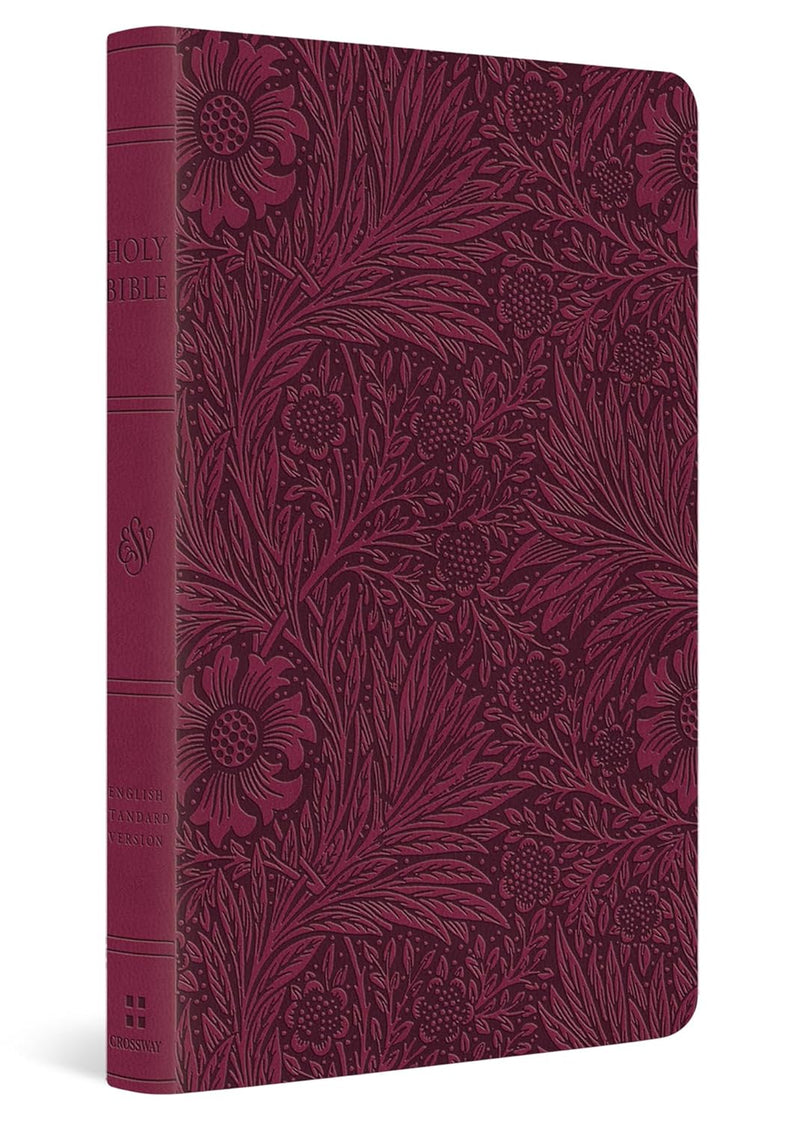 ESV Value Thinline Bible - Raspberry