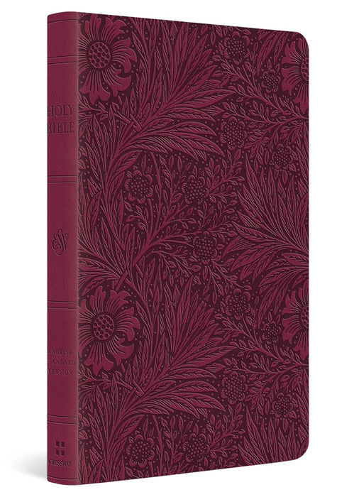 ESV Value Thinline Bible - Raspberry
