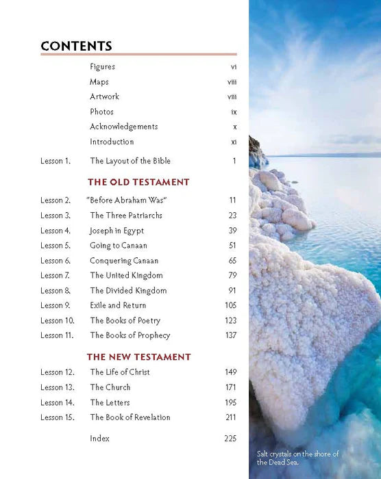 The Big Picture: A Guide to Learning the Bible's Story