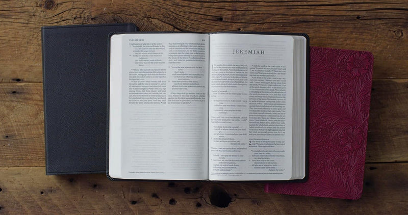 ESV Value Thinline Bible - Raspberry