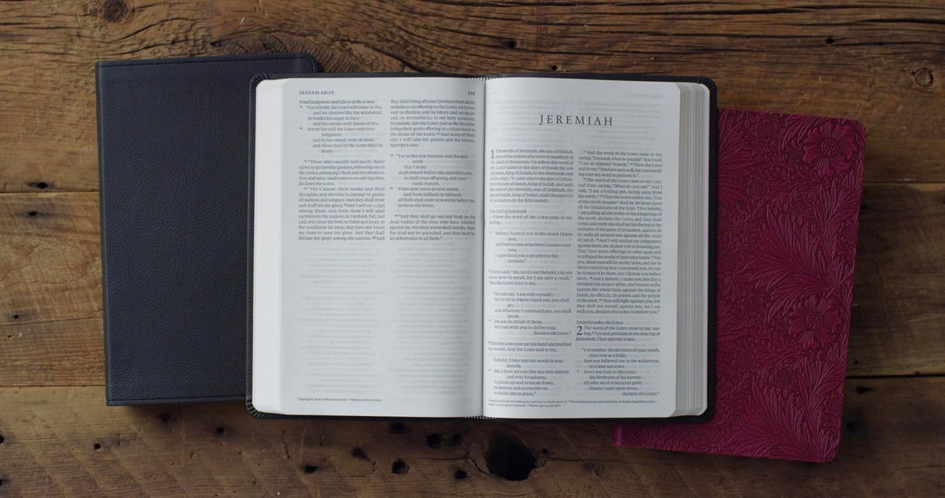 ESV Value Thinline Bible - Raspberry