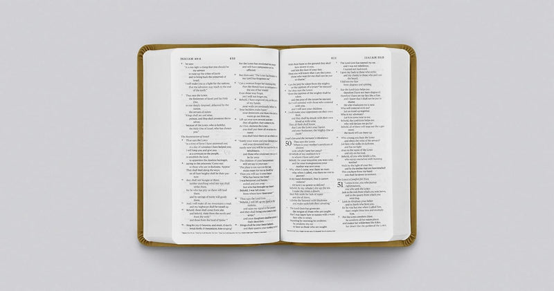 ESV Value Compact Bible - Goldenrod