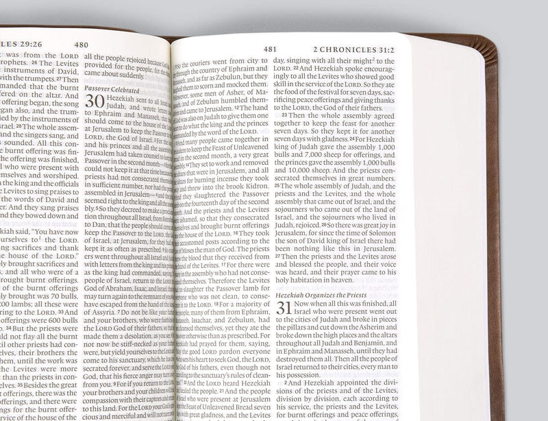 ESV Value Large Print Compact Bible - Teal with Ornament Design