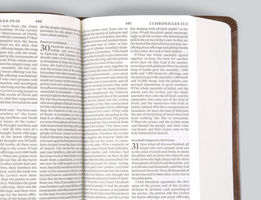 ESV Value Large Print Compact Bible - Teal with Ornament Design