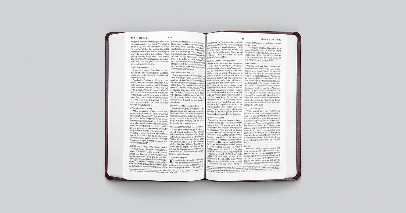 ESV Premium Gift Bible - Mahogany with Border Design