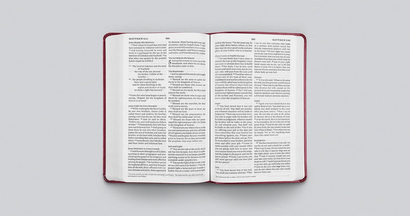 ESV Value Thinline Bible - Raspberry