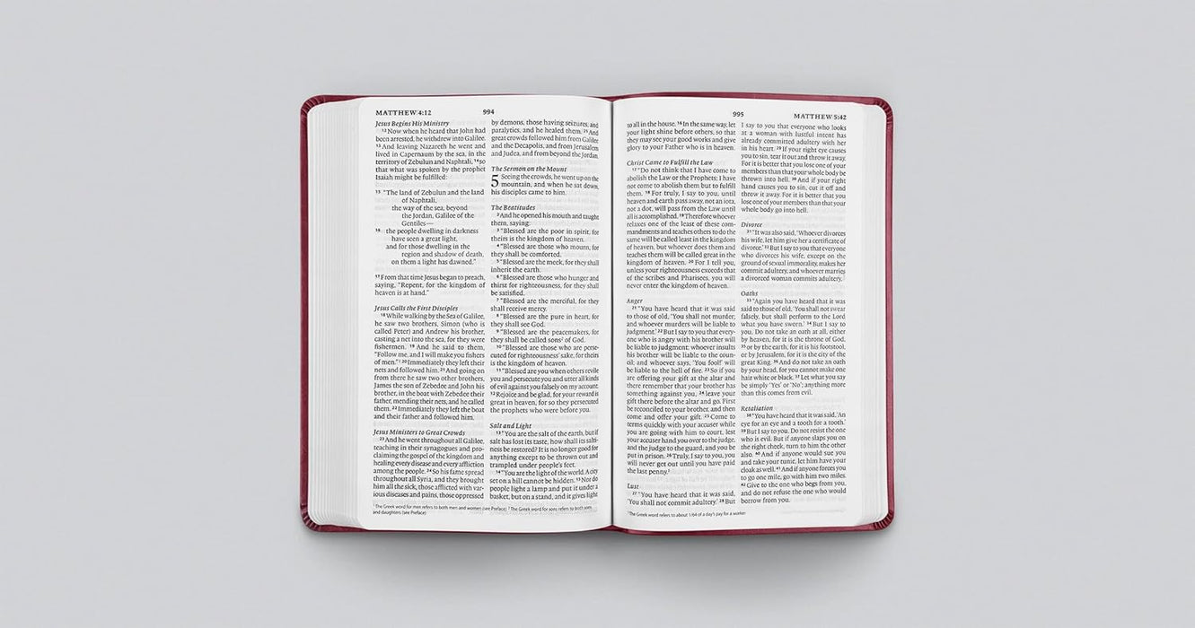 ESV Value Thinline Bible - Raspberry