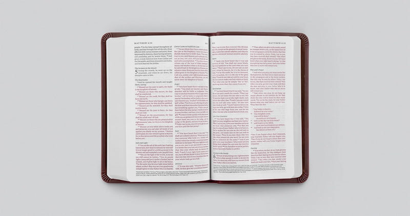ESV Value Compact Bible - Red Letter Brown