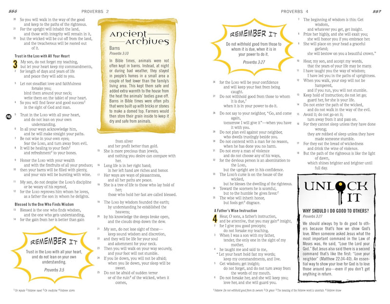 The Action Bible ESV Study Bible