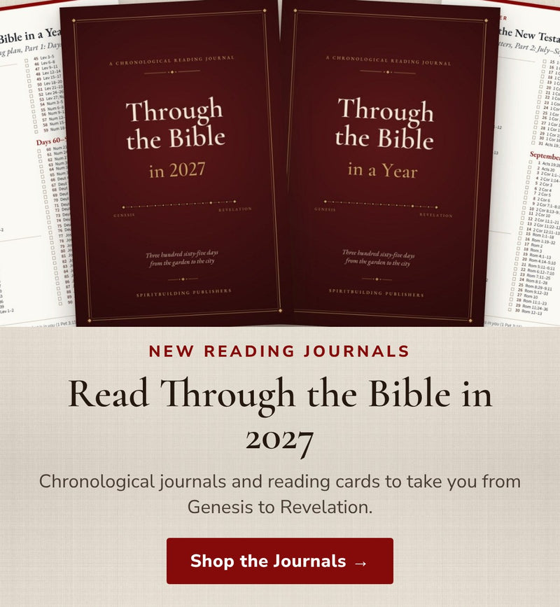 Through the Bible in 2027 chronological reading journals