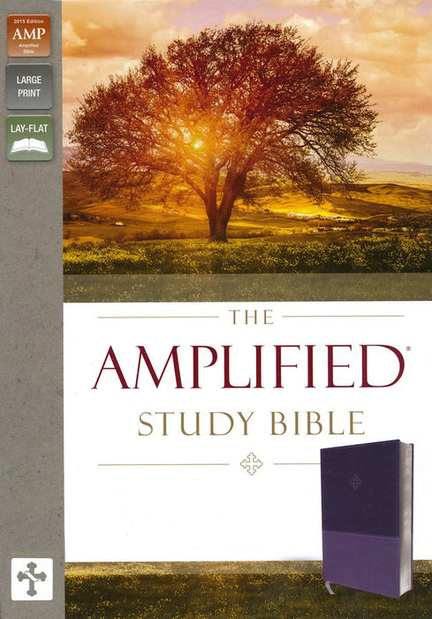 Amplified Study Bible--soft leather-look, purple