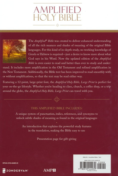 Amplified Large-Print Bible, hardcover